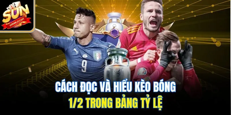 Cách đọc và hiểu kèo bóng 1/2 trong bảng tỷ lệ